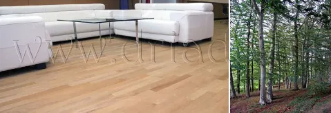 Parket bukva