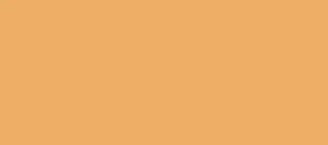 5000-C0-M35-Y60-K0-068.jpg