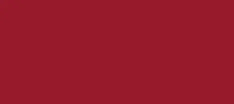 6130-C20-M100-Y70-K30-036.jpg
