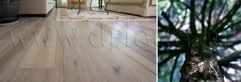 Najpopularniji parketi - seljački podovi