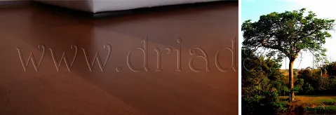 Parket jatoba