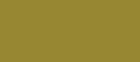 2240-C0-M5-Y100-K50.jpg
