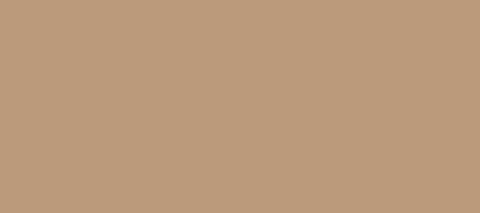 8300-C5-M25-Y40-K30-033.jpg