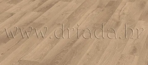 D4155_1380_193-Area_A2_CMYK_ECI