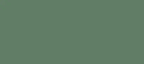 3820-C70-M35-Y60-K10-016.jpg